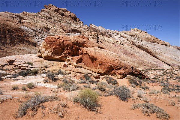 Coloured sandstone formations at Rainbow Vista