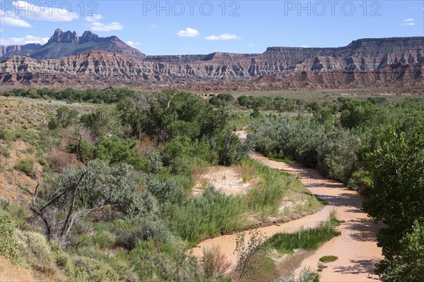 View towards Virgin Valley