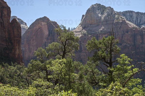 View towards vegetation and sandstone cliffs from Emerald Pools Trail