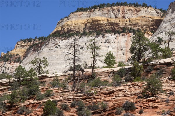 Sandstone rock formations at Zion-Mount Carmel Highway