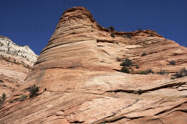 Petrified Sand Dunes in Clear Creek at Zion-Mount Carmel Highway