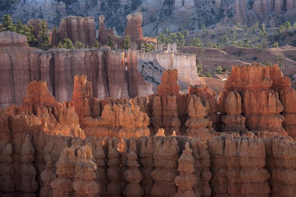 View of Bryce Amphitheater from Inspiration Point