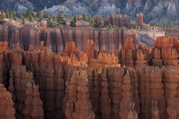 View of Bryce Amphitheater from Inspiration Point