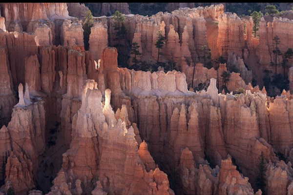 View of Bryce Amphitheater from Inspiration Point