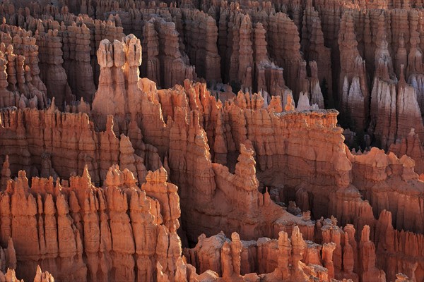 View of Bryce Amphitheater from Inspiration Point