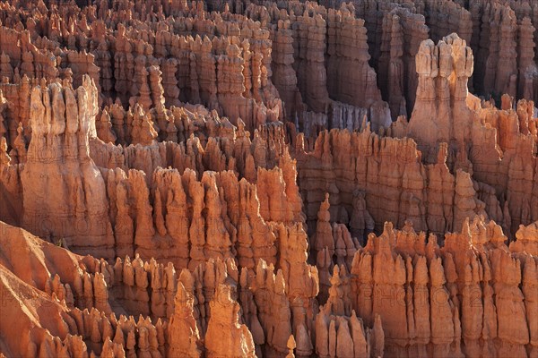 View of Bryce Amphitheater from Inspiration Point