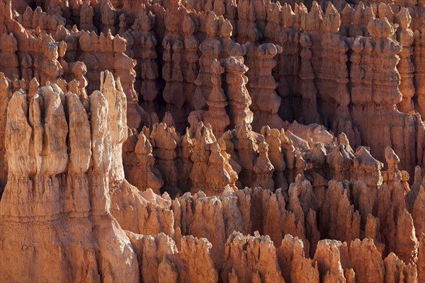 View of Bryce Amphitheater from Inspiration Point