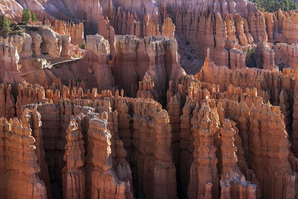 View of Bryce Amphitheater from Inspiration Point