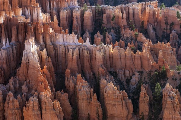 View of Bryce Amphitheater from Inspiration Point