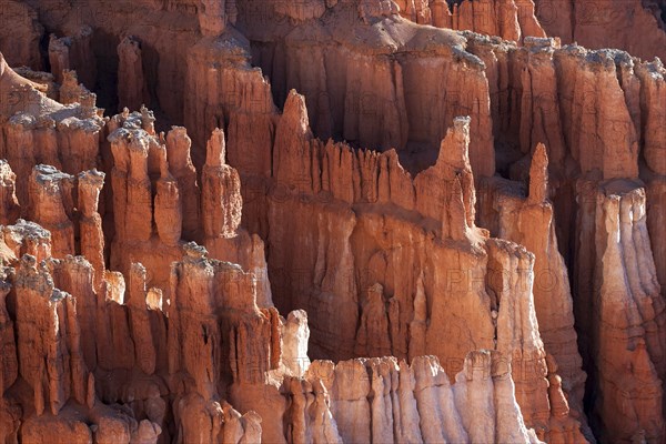 View of Bryce Amphitheater from Inspiration Point