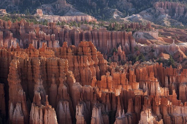 View of Bryce Amphitheater from Inspiration Point