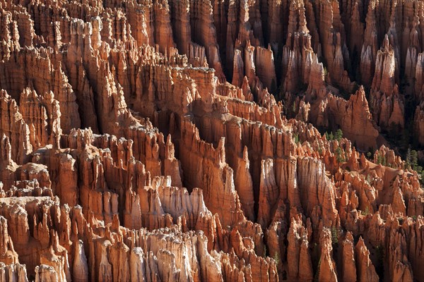 View of Bryce Amphitheater from Inspiration Point