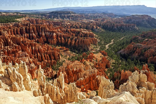 View of Bryce Amphitheater from Bryce Point