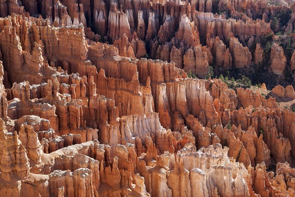 View of Bryce Amphitheater from Inspiration Point