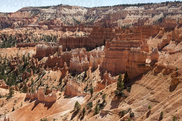 View of coloured rock formations from Queens Garden Trail