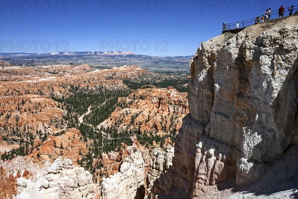 View of coloured rock formations from Bryce Point