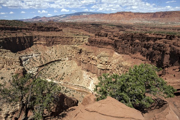 View of Sulphur Creek from Gossenecks Overlook