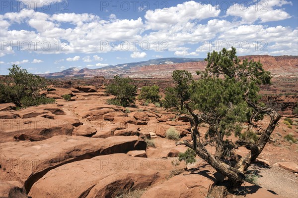 Landscape and rock formations near Gossenecks Overlook