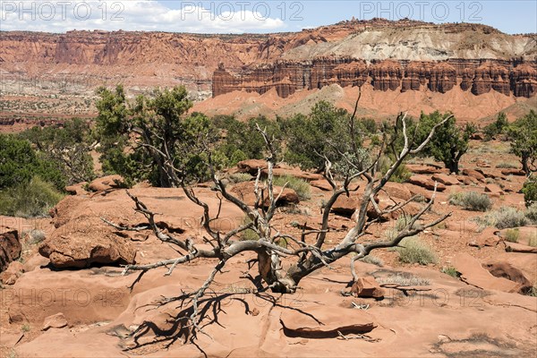 Landscape and rock formations near Gossenecks Overlook