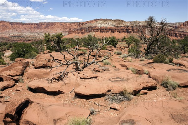 Landscape and rock formations near Gossenecks Overlook