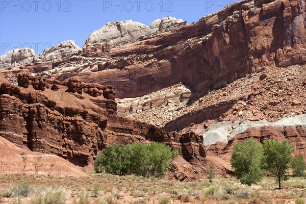 Landscape and rock formations at Fruita