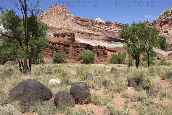 Landscape and rock formations in Fruita