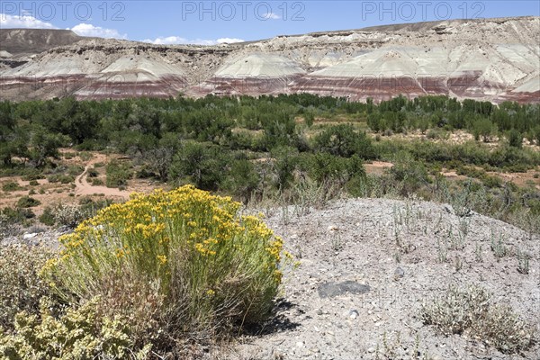 Coloured rock formations on Utah State Route 24