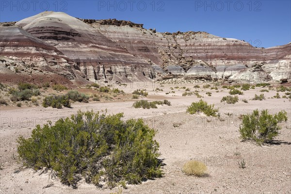 Coloured rock formations on Utah State Route 24
