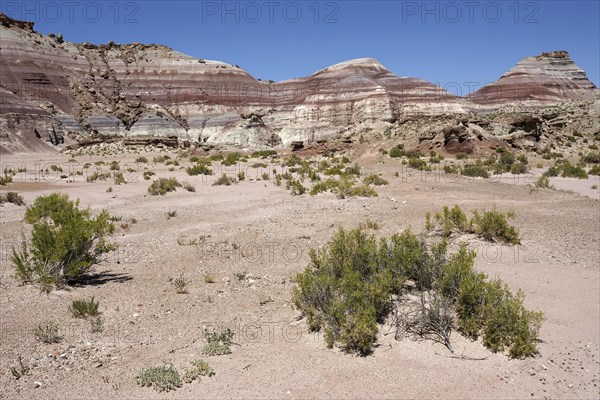 Coloured rock formations on Utah State Route 24