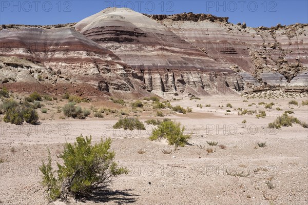 Coloured rock formations on Utah State Route 24