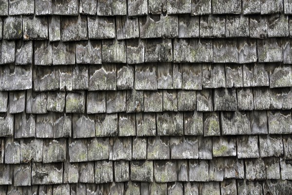 Old wood shingles on a farmhouse