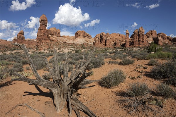 Rock pinnacles