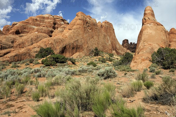 Rock formations at Devil's Garden Trailhead