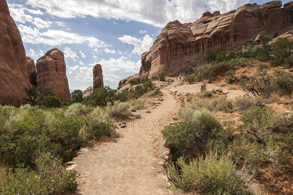 Rock formations at Devil's Garden Trailhead