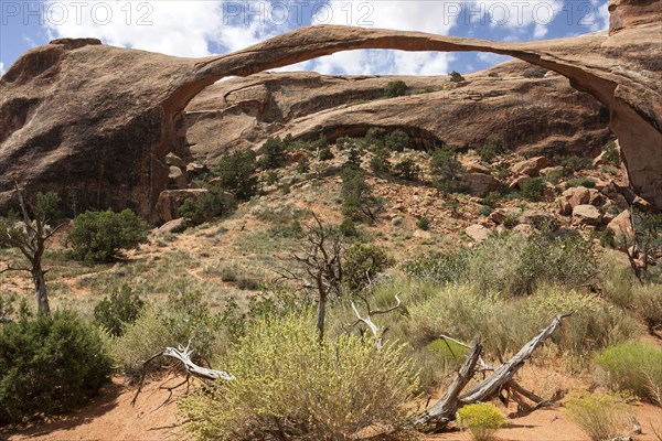 Landscape Arch in Devil's Garden