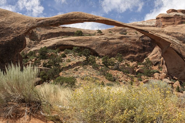 Landscape Arch in Devil's Garden