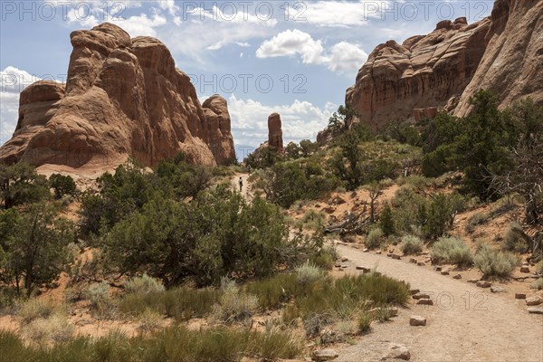 Rock formations at Devil's Garden Trailhead