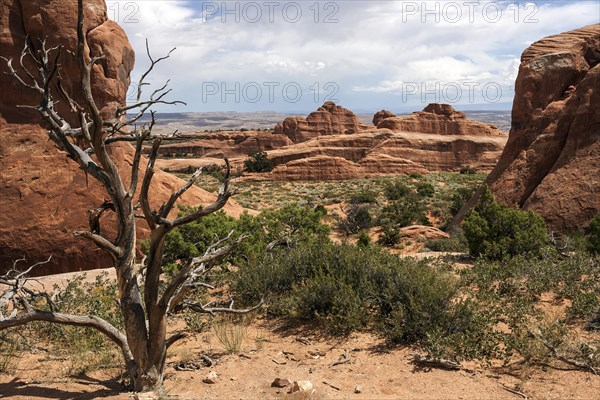 Rock formations at Devil's Garden Trailhead