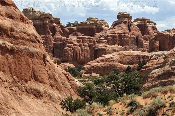 Rock formations at Devil's Garden Trailhead