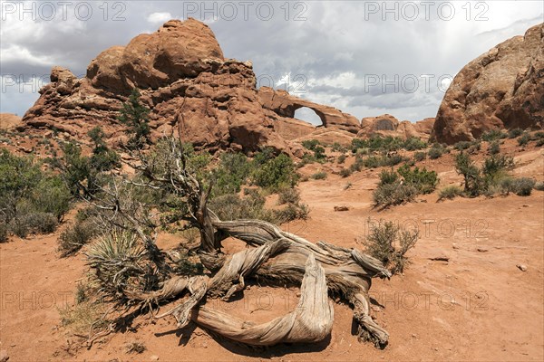 Skyline Arch