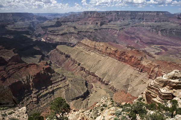 View from Lipan Point