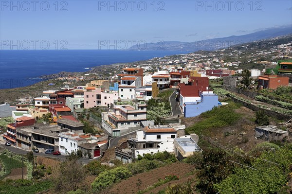 Icod de los Vinos and north coast