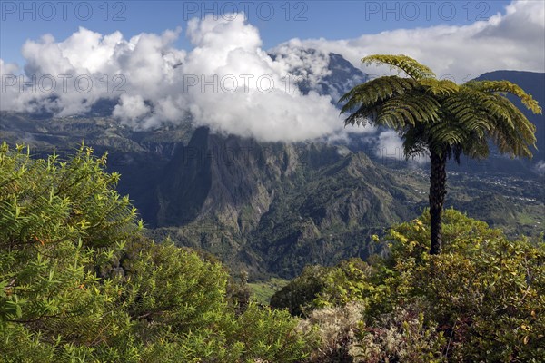 View of Cirque de Salazie from Gite de Belouve