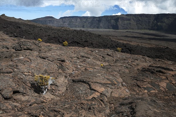 Volcanic Landscape