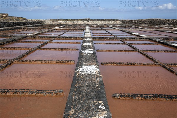 Salinas del Carmen salinse