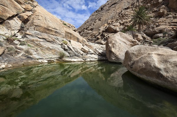 Pond in the Barranco de las Penitas near Vega de Rio Palmas