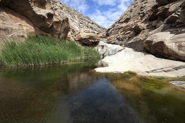 River with reeds in the Barranco de las Penitas