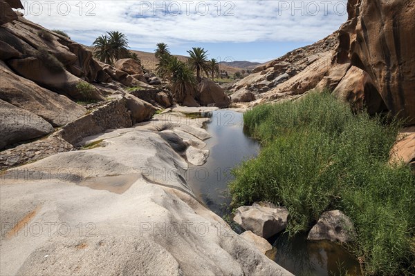 River with reeds in the Barranco de las Penitas