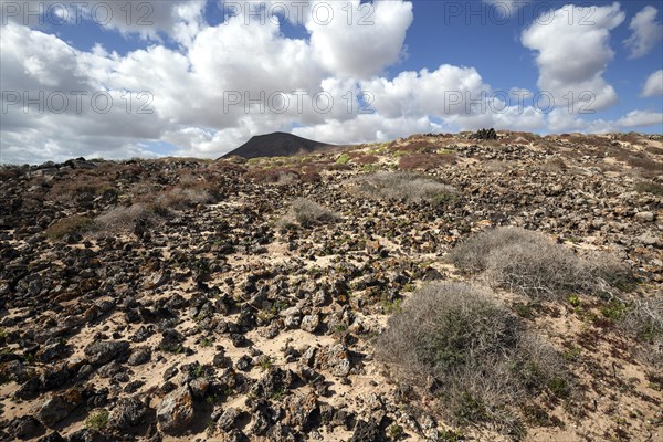 Barren landscape in the southern area of the Corralejo Natural Park