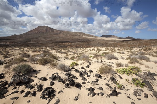 Barren landscape in the southern area of the Corralejo Natural Park